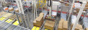 Slideshow - Three Gantry Palletizing System